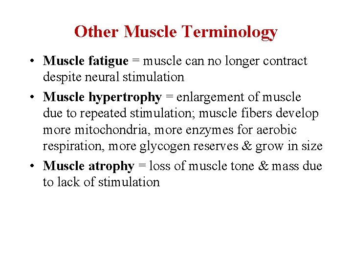 Other Muscle Terminology • Muscle fatigue = muscle can no longer contract despite neural