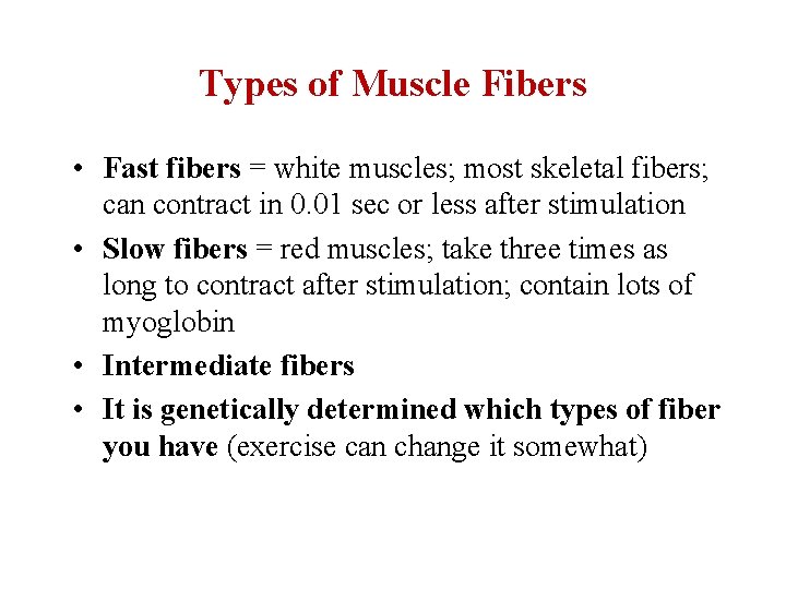 Types of Muscle Fibers • Fast fibers = white muscles; most skeletal fibers; can