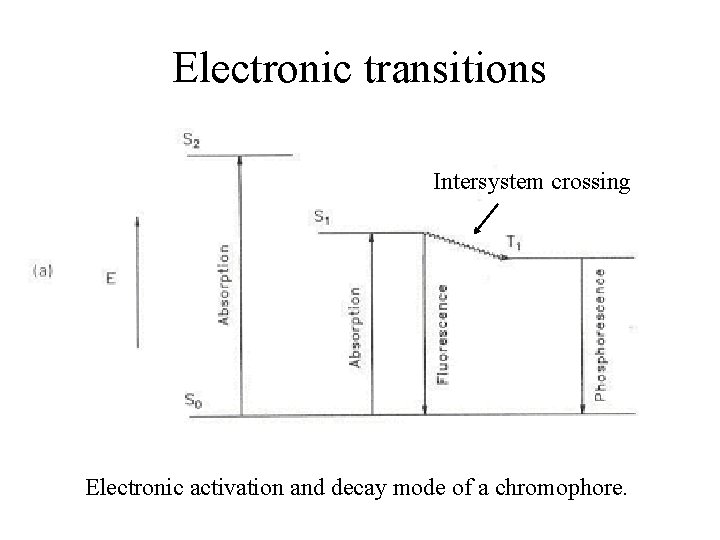 Electronic transitions Intersystem crossing Electronic activation and decay mode of a chromophore. 