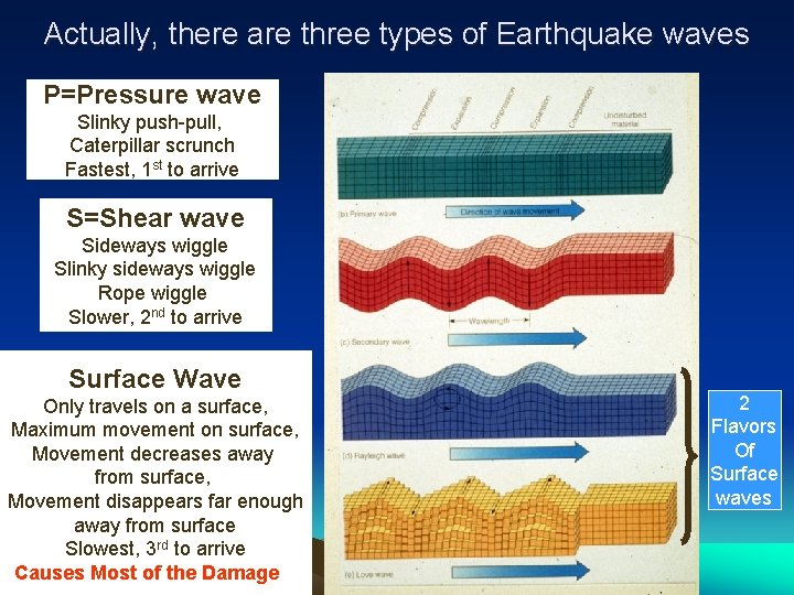 Actually, there are three types of Earthquake waves P=Pressure wave Slinky push-pull, Caterpillar scrunch