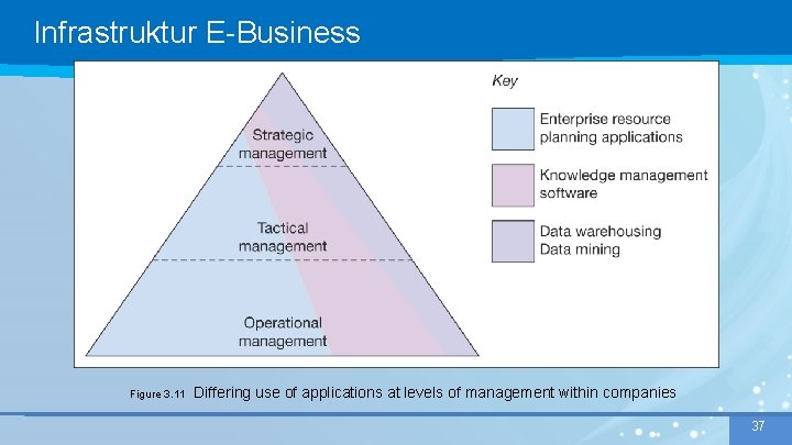 Infrastruktur E-Business Figure 3. 11 Differing use of applications at levels of management within