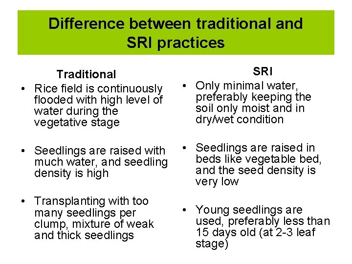 Difference between traditional and SRI practices Traditional • Rice field is continuously flooded with