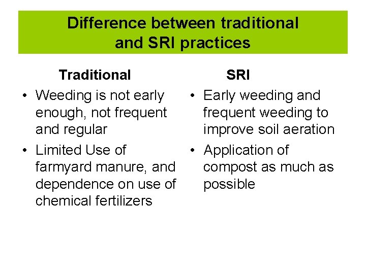 Difference between traditional and SRI practices Traditional SRI • Weeding is not early •