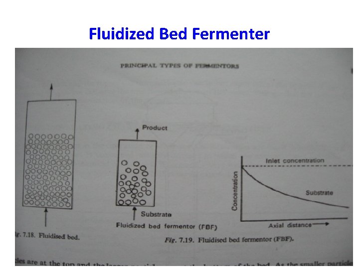 Fluidized Bed Fermenter 