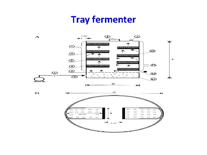 Tray fermenter 