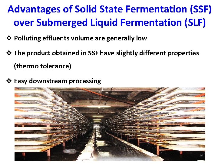 Advantages of Solid State Fermentation (SSF) over Submerged Liquid Fermentation (SLF) v Polluting effluents
