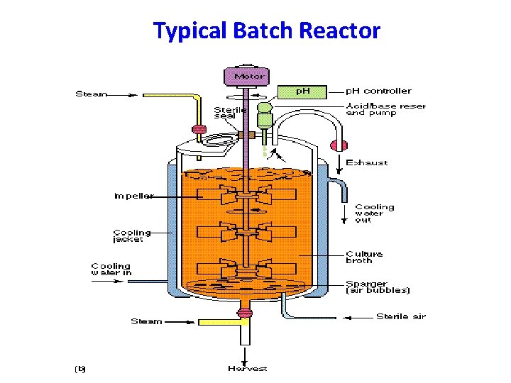 Typical Batch Reactor 