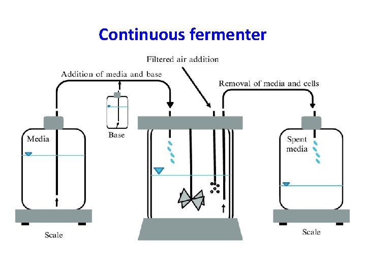 Continuous fermenter 