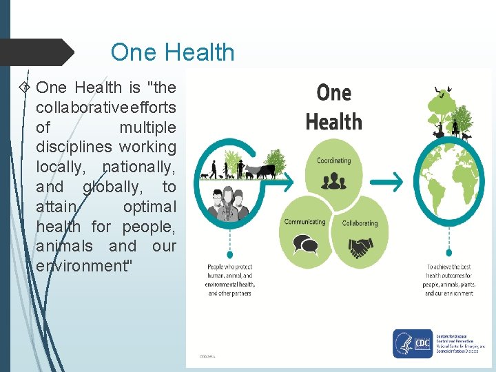 One Health is "the collaborative efforts of multiple disciplines working locally, nationally, and globally,