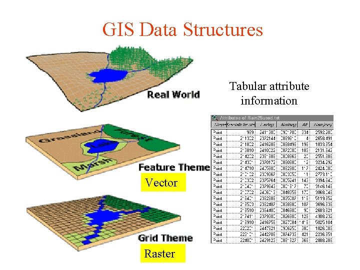 GIS Data Structures Tabular attribute information Vector Raster 