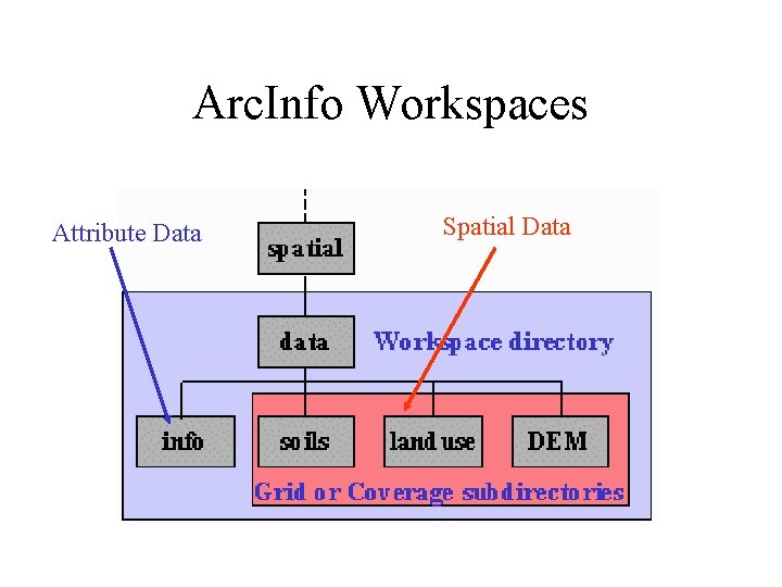 Arc. Info Workspaces Attribute Data Spatial Data 