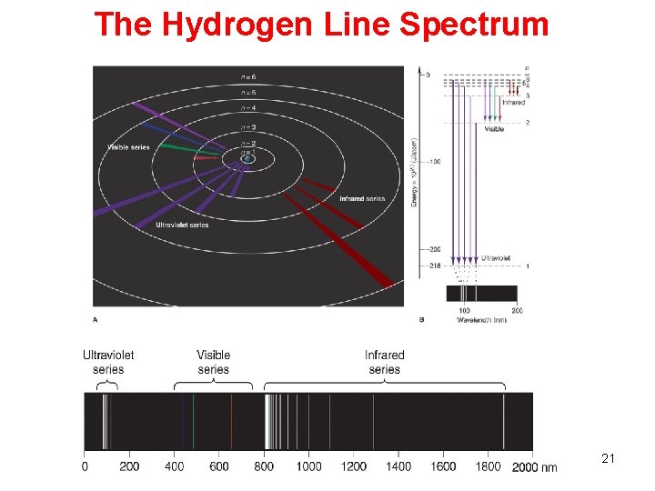 The Hydrogen Line Spectrum 21 