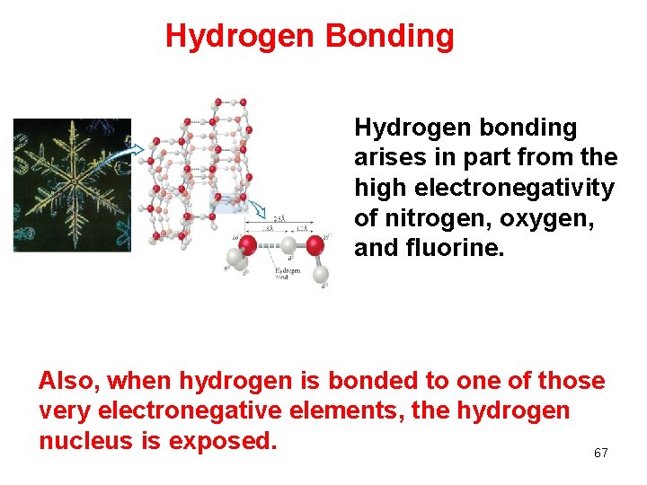 Hydrogen Bonding Hydrogen bonding arises in part from the high electronegativity of nitrogen, oxygen,