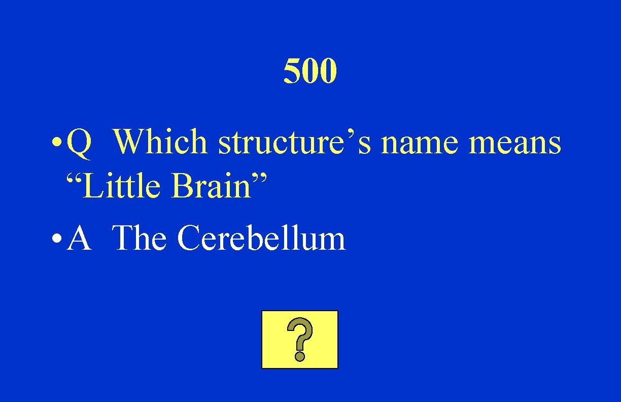 500 • Q Which structure’s name means “Little Brain” • A The Cerebellum 