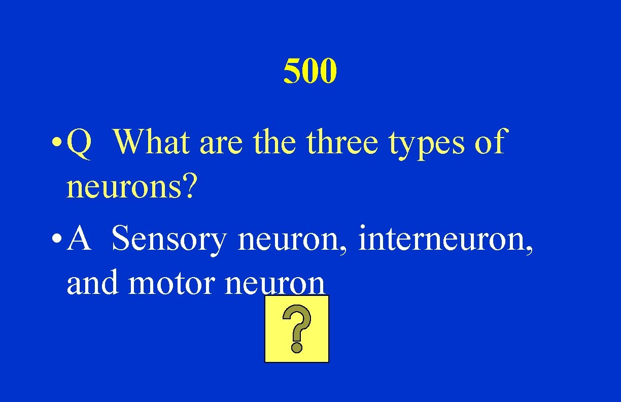 500 • Q What are three types of neurons? • A Sensory neuron, interneuron,