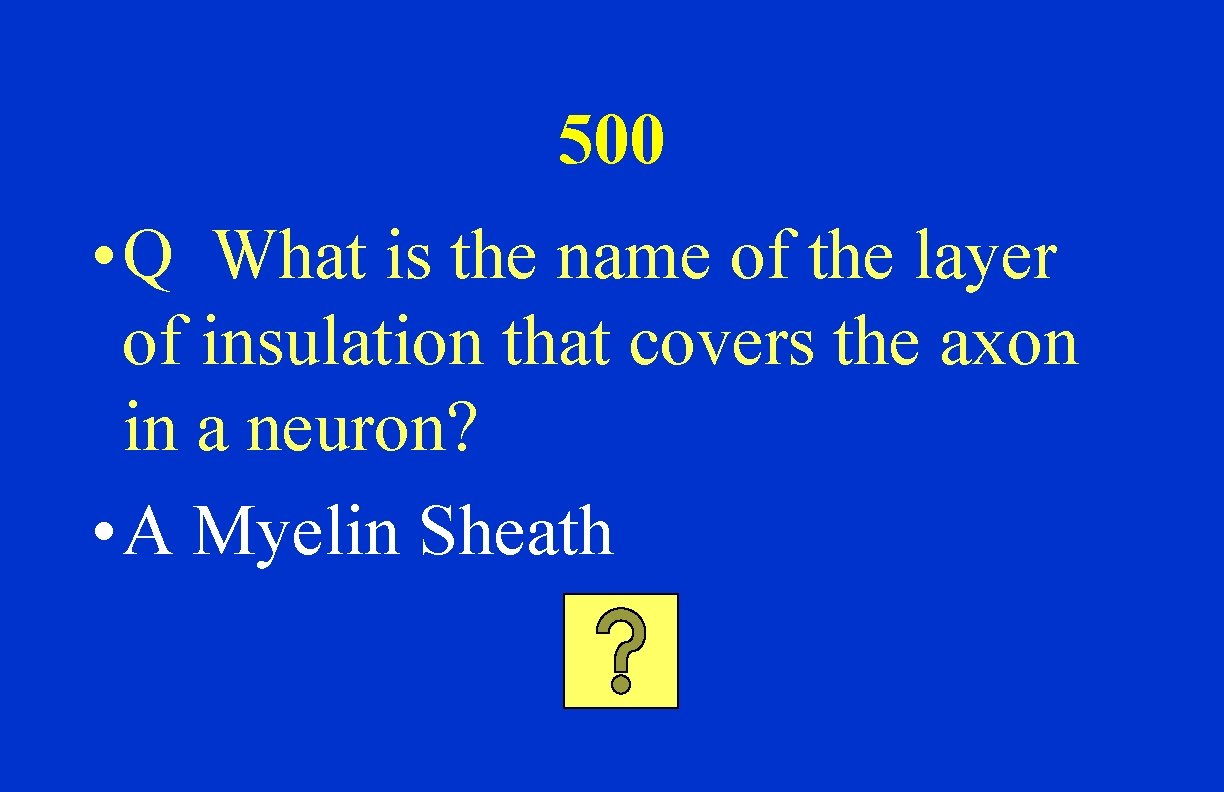 500 • Q What is the name of the layer of insulation that covers