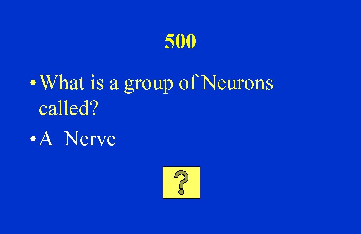 500 • What is a group of Neurons called? • A Nerve 