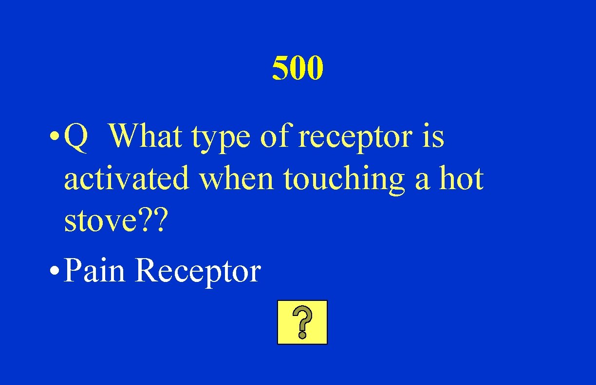 500 • Q What type of receptor is activated when touching a hot stove?