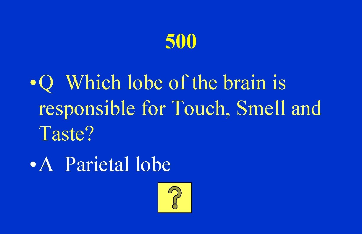 500 • Q Which lobe of the brain is responsible for Touch, Smell and