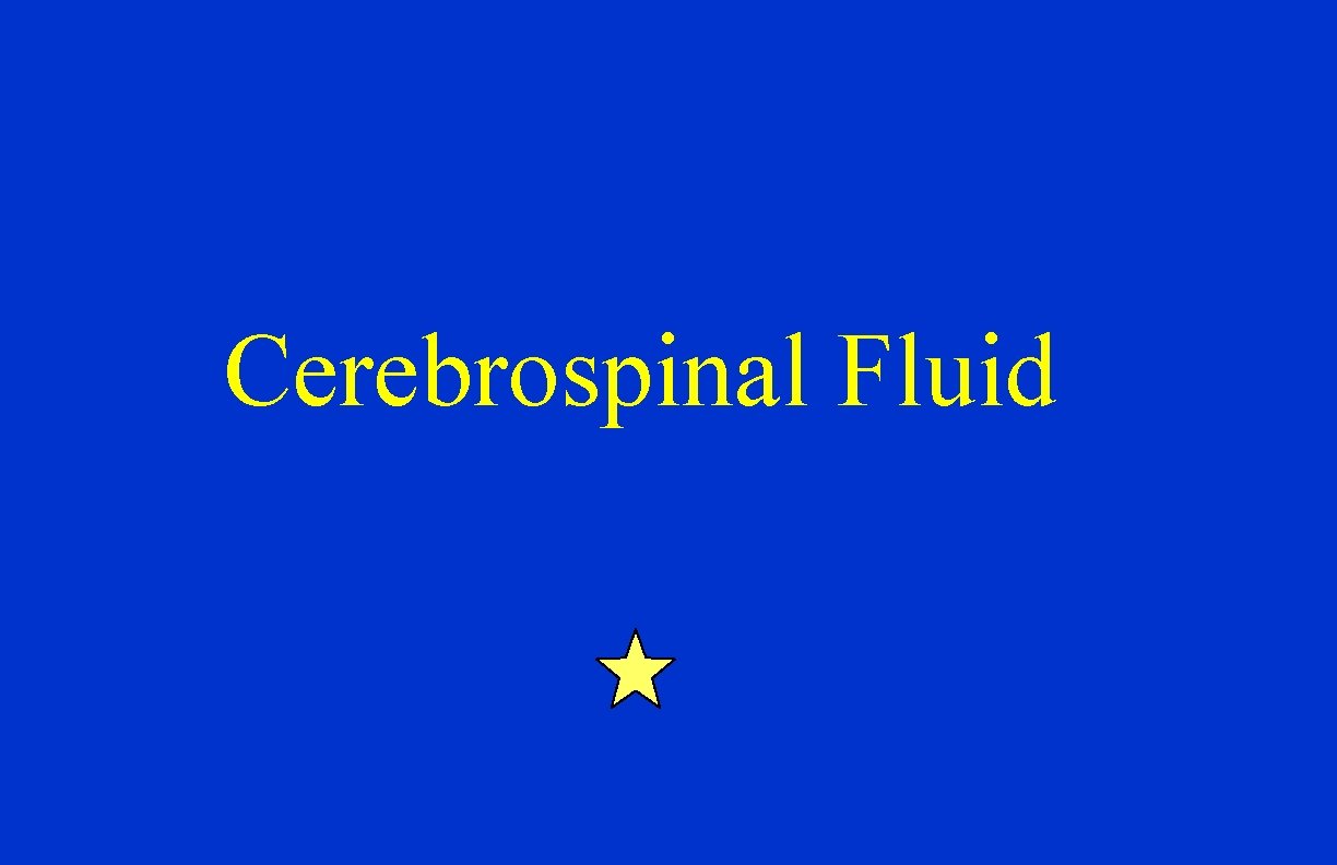 Cerebrospinal Fluid 