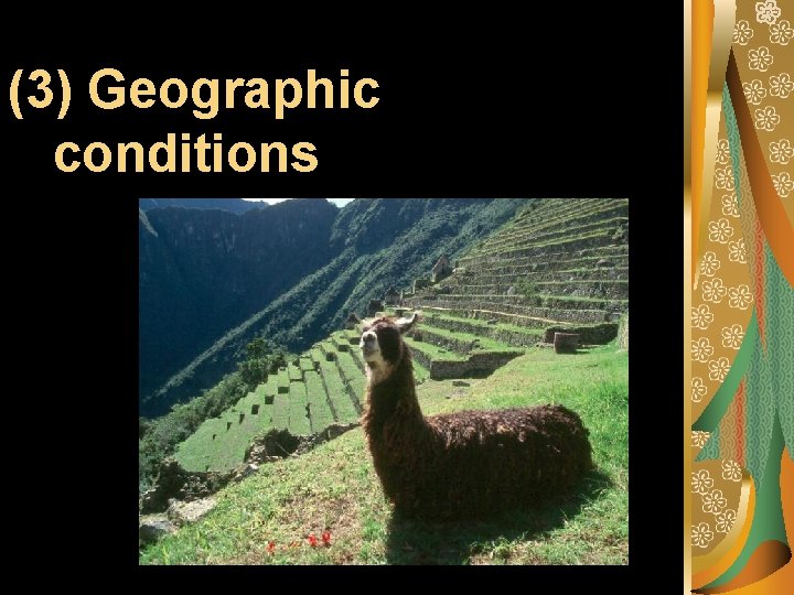 (3) Geographic conditions 