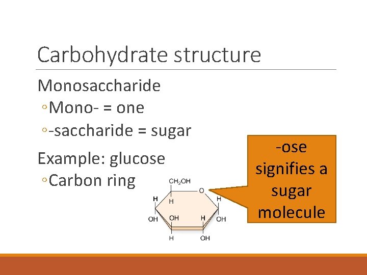 Carbohydrate structure Monosaccharide ◦ Mono- = one ◦ -saccharide = sugar Example: glucose ◦
