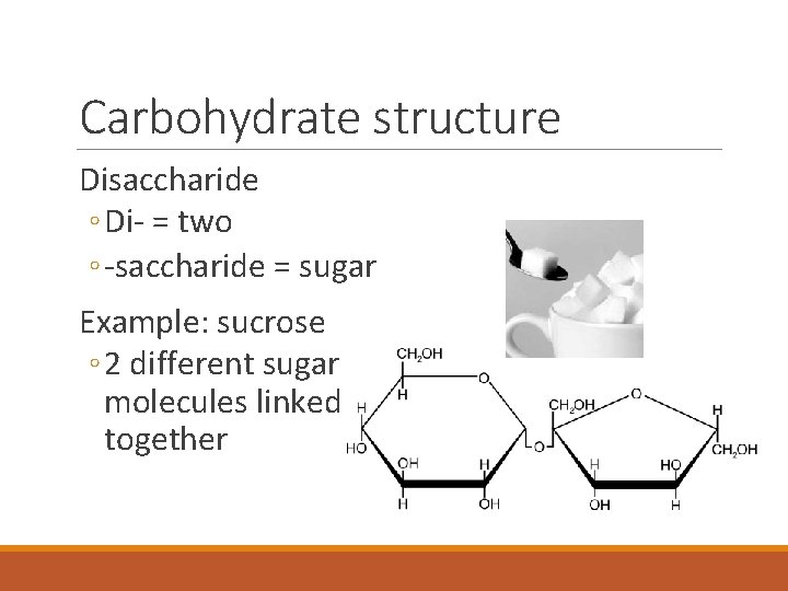 Carbohydrate structure Disaccharide ◦ Di- = two ◦ -saccharide = sugar Example: sucrose ◦