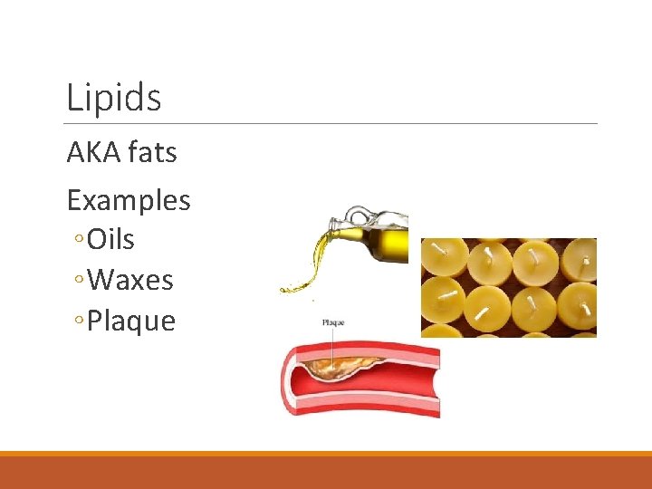 Lipids AKA fats Examples ◦ Oils ◦ Waxes ◦ Plaque 