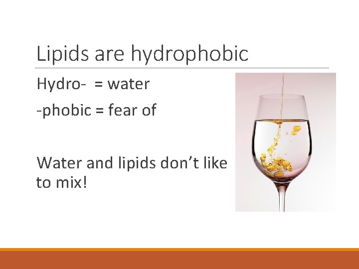 Lipids are hydrophobic Hydro- = water -phobic = fear of Water and lipids don’t