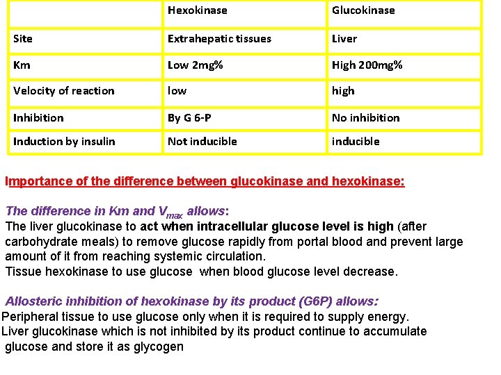 Hexokinase Glucokinase Site Extrahepatic tissues Liver Km Low 2 mg% High 200 mg% Velocity