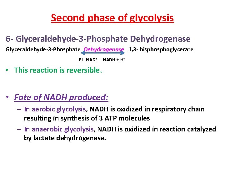 Second phase of glycolysis 6 - Glyceraldehyde-3 -Phosphate Dehydrogenase 1, 3 - bisphoglycerate Pi