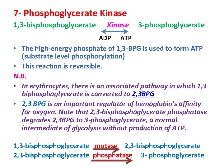 7 - Phosphoglycerate Kinase 1, 3 -bisphoglycerate Kinase ADP 3 -phosphoglycerate ATP • The