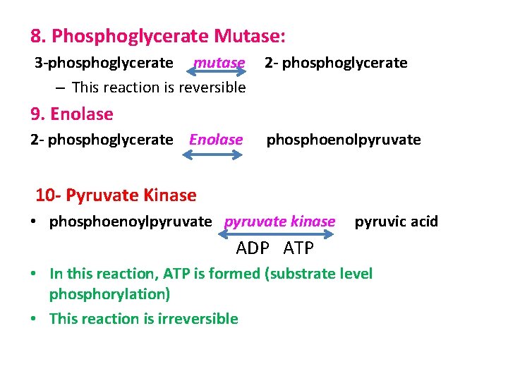 8. Phosphoglycerate Mutase: 3 -phosphoglycerate mutase – This reaction is reversible 2 - phosphoglycerate