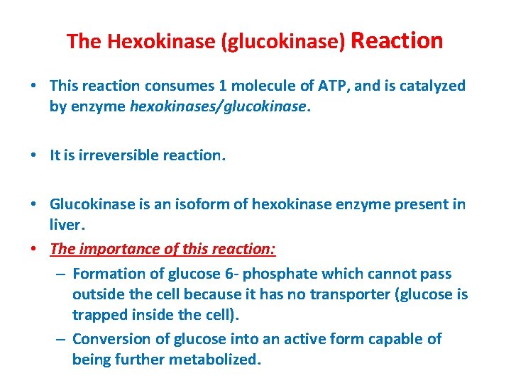 The Hexokinase (glucokinase) Reaction • This reaction consumes 1 molecule of ATP, and is