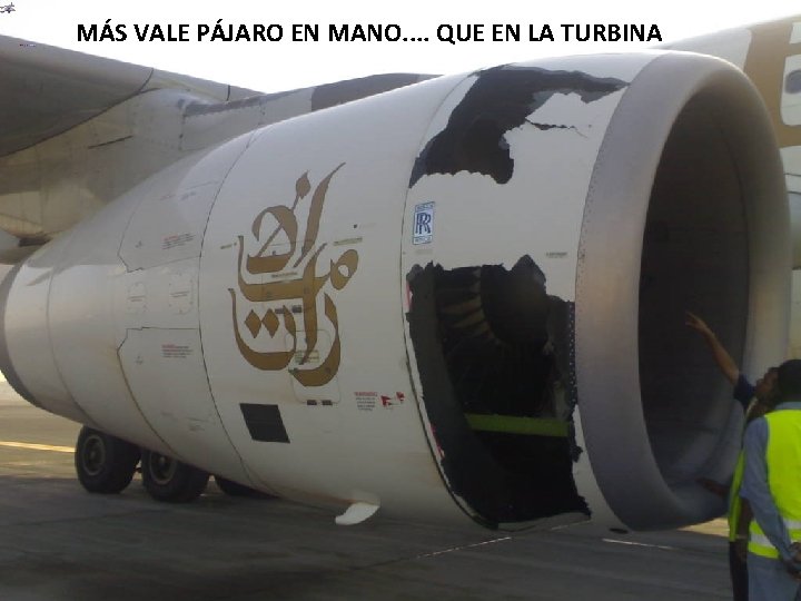 MÁS VALE PÁJARO EN MANO. . QUE EN LA TURBINA 