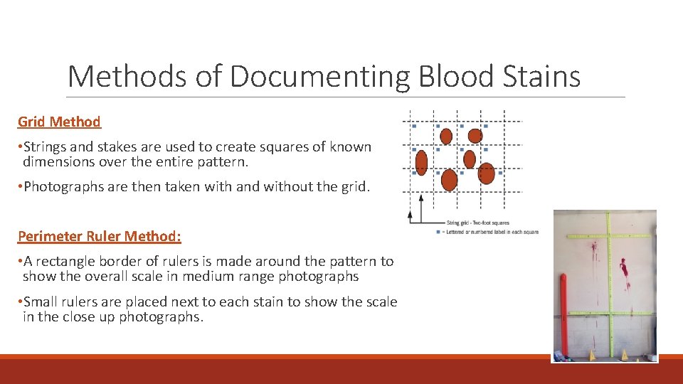 Methods of Documenting Blood Stains Grid Method • Strings and stakes are used to