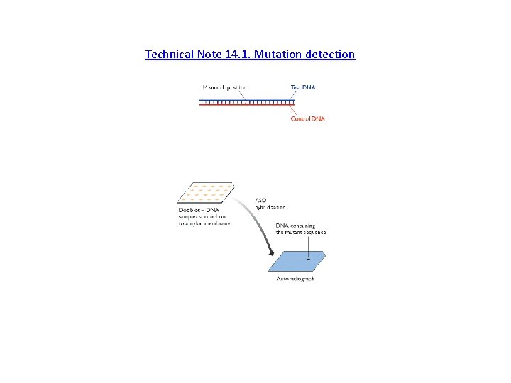 Technical Note 14. 1. Mutation detection 