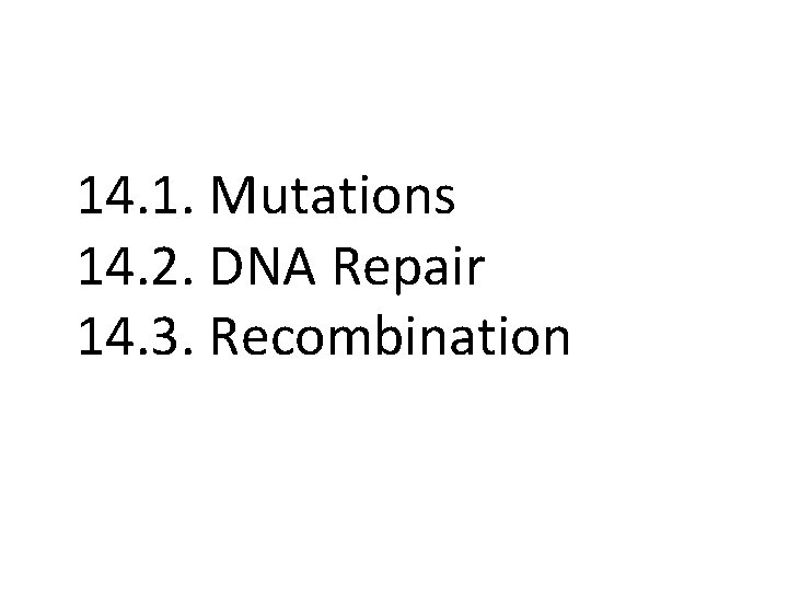 14. 1. Mutations 14. 2. DNA Repair 14. 3. Recombination 