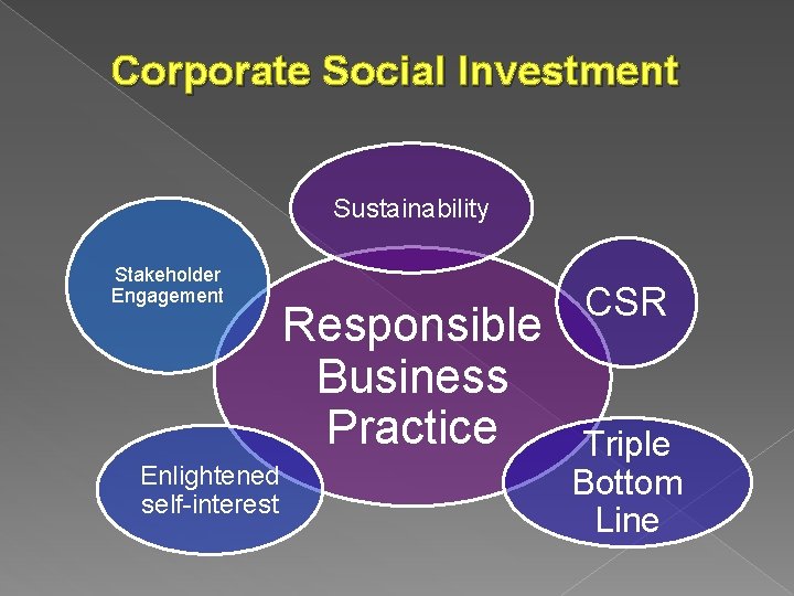 Corporate Social Investment Sustainability Stakeholder Engagement Enlightened self-interest Responsible Business Practice CSR Triple Bottom