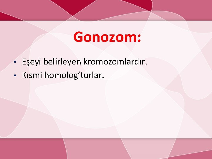 Gonozom: Eşeyi belirleyen kromozomlardır. • Kısmi homolog’turlar. • 
