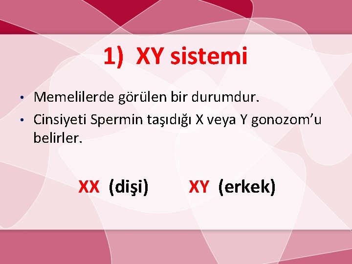 1) XY sistemi Memelilerde görülen bir durumdur. • Cinsiyeti Spermin taşıdığı X veya Y