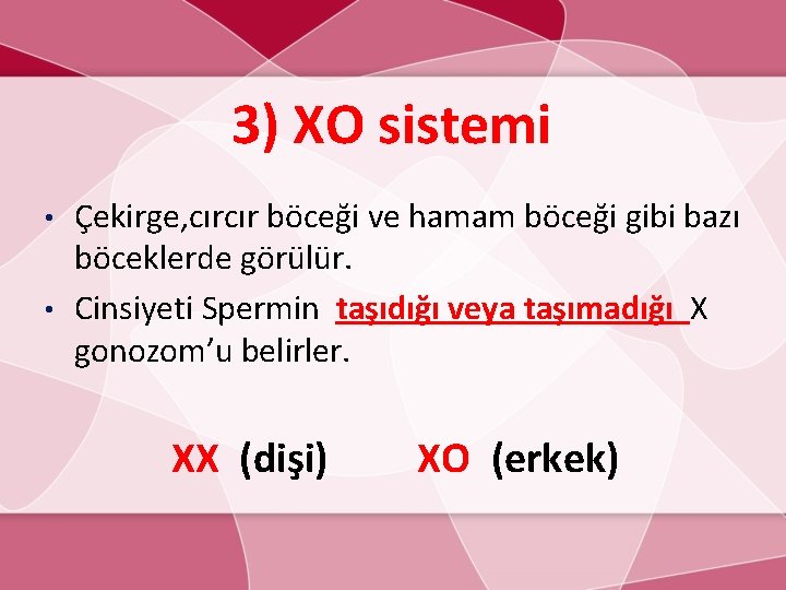 3) XO sistemi Çekirge, cırcır böceği ve hamam böceği gibi bazı böceklerde görülür. •