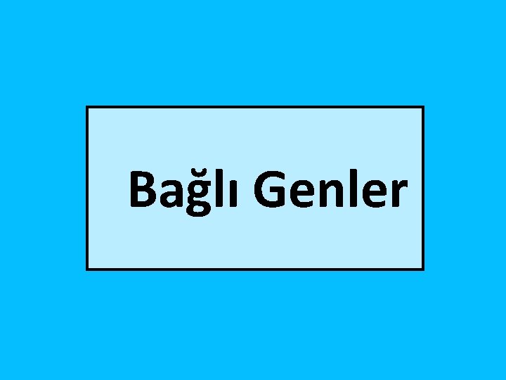 Bağlı Genler 