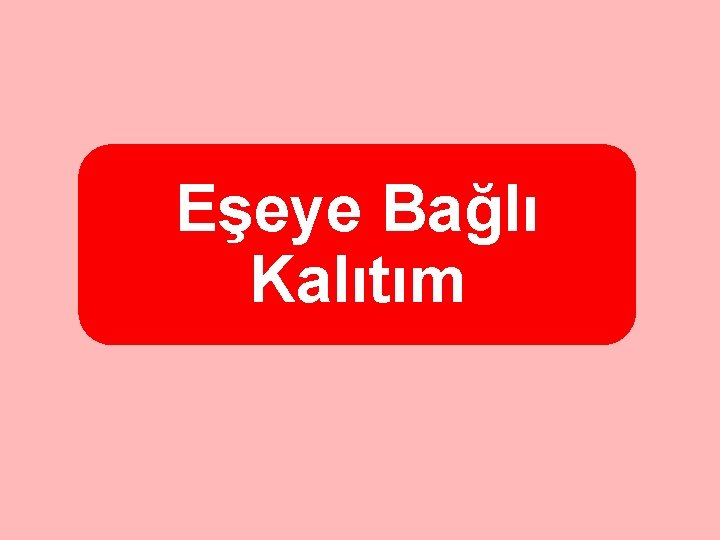 Eşeye Bağlı Kalıtım 