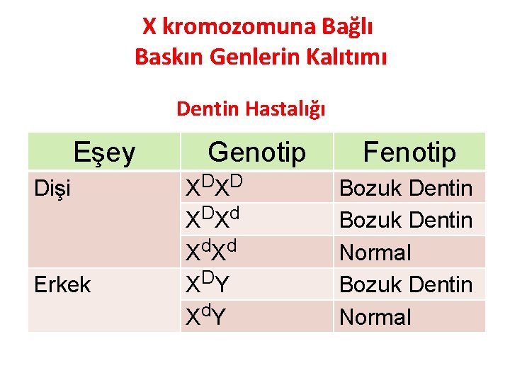 X kromozomuna Bağlı Baskın Genlerin Kalıtımı Dentin Hastalığı Eşey Dişi Erkek Genotip X DX