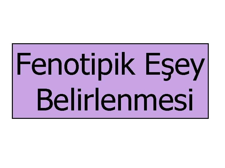 Fenotipik Eşey Belirlenmesi 