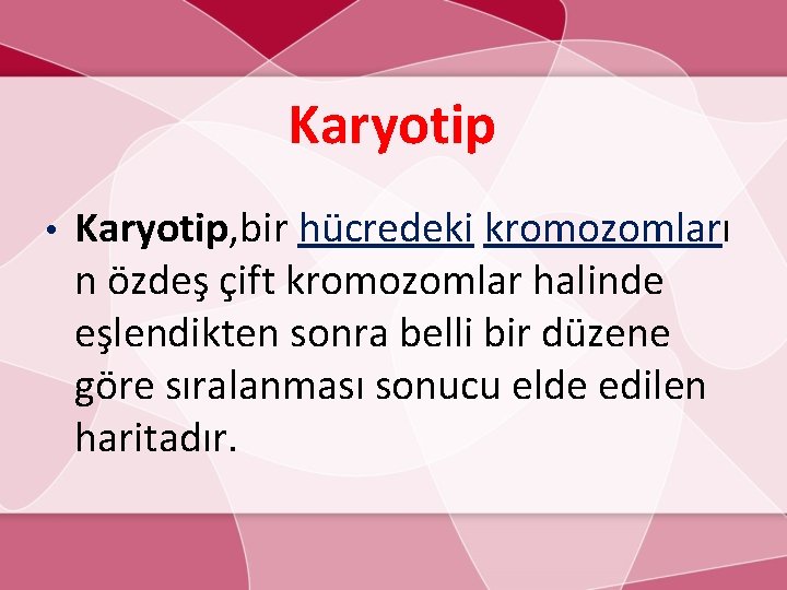 Karyotip • Karyotip, bir hücredeki kromozomları n özdeş çift kromozomlar halinde eşlendikten sonra belli