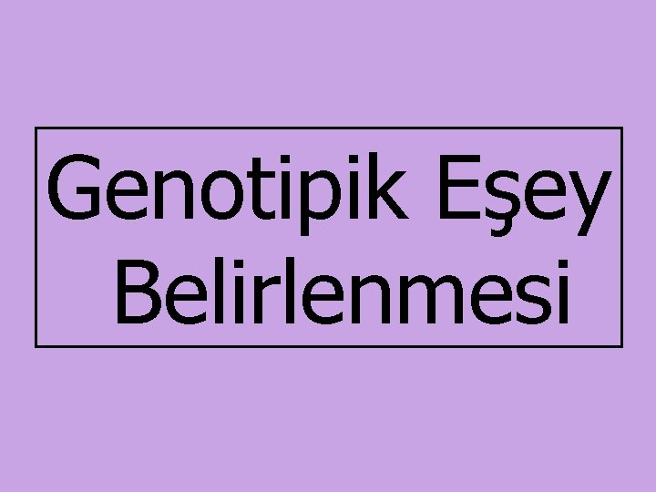 Genotipik Eşey Belirlenmesi 
