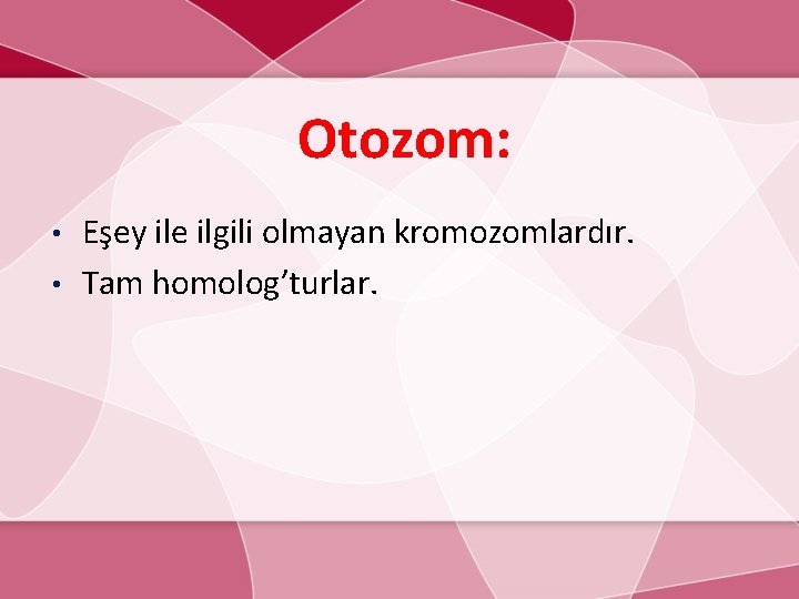 Otozom: Eşey ile ilgili olmayan kromozomlardır. • Tam homolog’turlar. • 