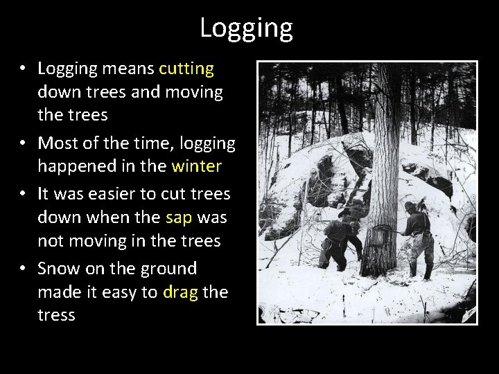 Logging • Logging means cutting down trees and moving the trees • Most of